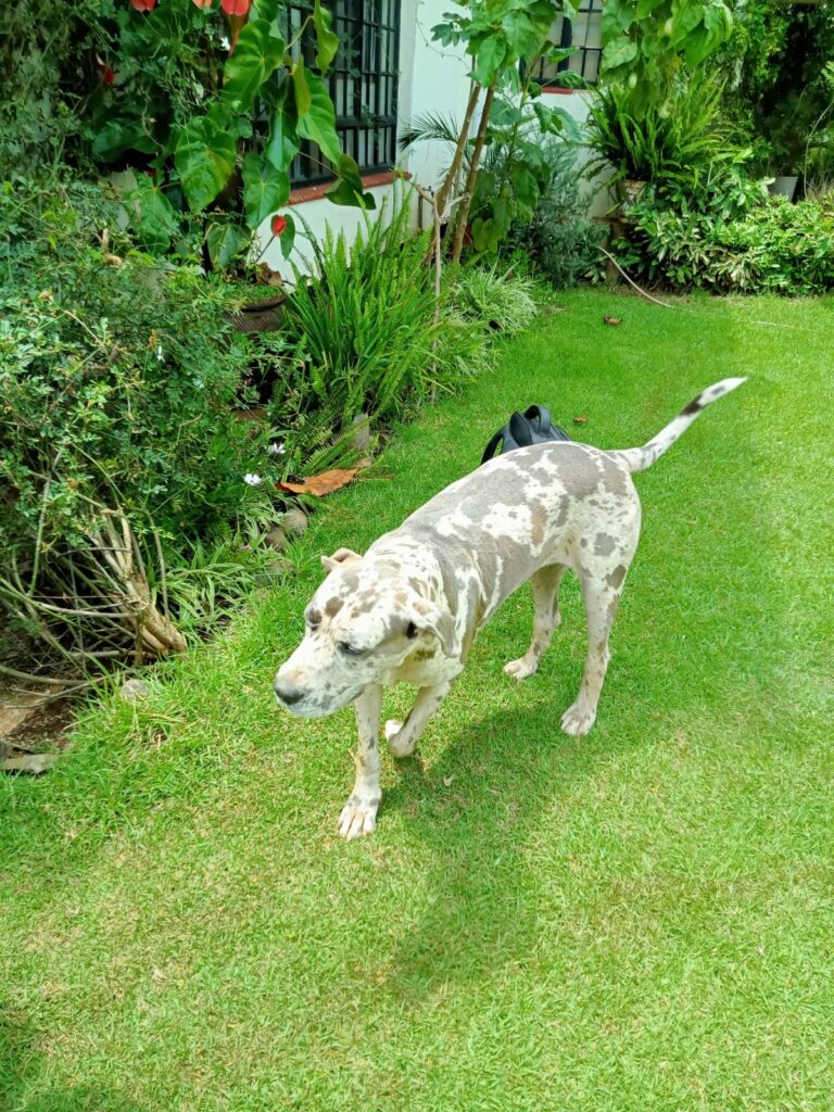 IMG-20220225-WA0024-768×1024