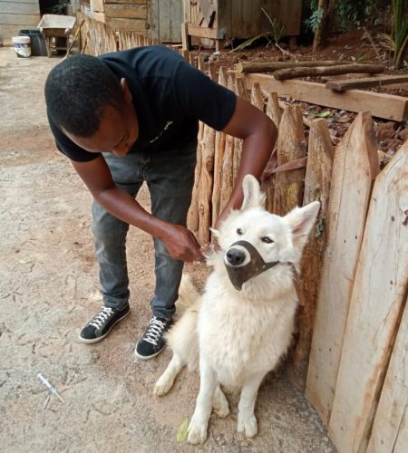 IMG-20220218-WA0011-768x1024